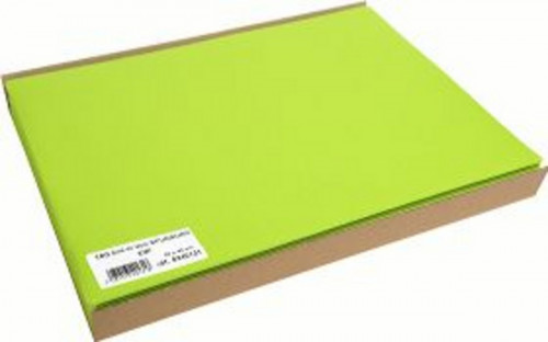 Set de table kiwi plastique 30x40 cm (100 pièces)