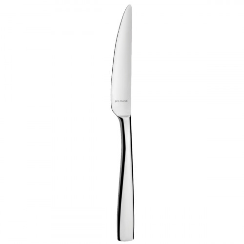 Couteau à dessert monobloc cranté Odyssee Pro.mundi