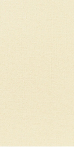 Serviettes crème non tissé 40x40 cm pliée en 8 Bio Dunisoft Duni (60 pièces)
